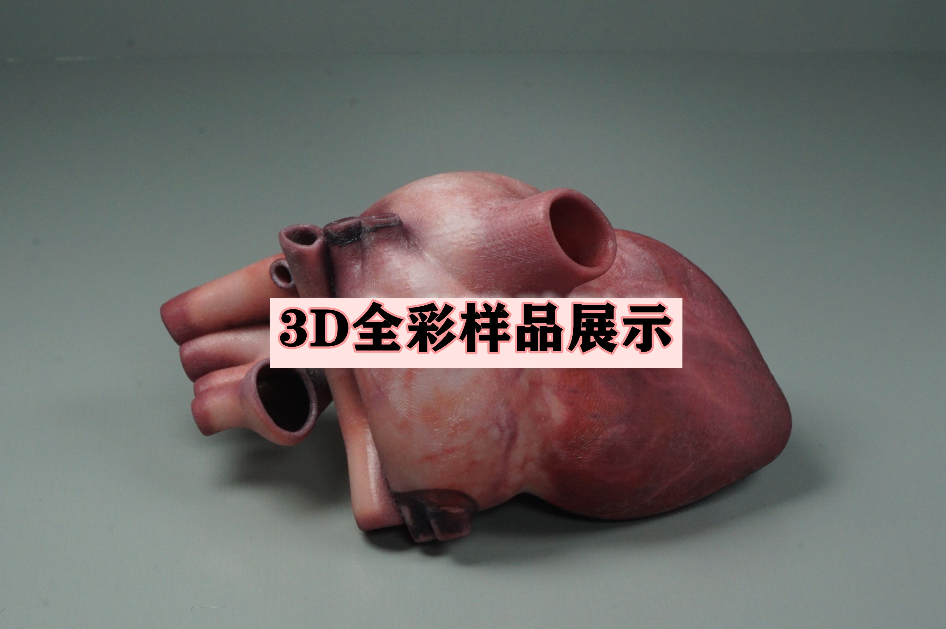 3D全彩样品展示